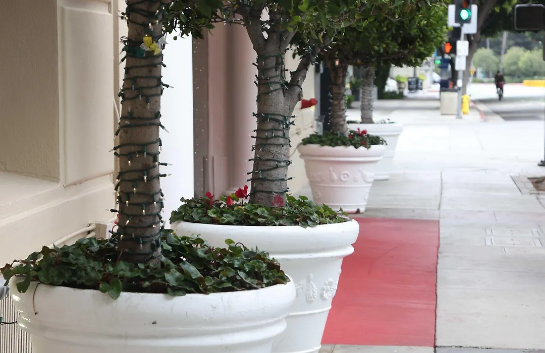 Hotel Carmel Santa Monica-1