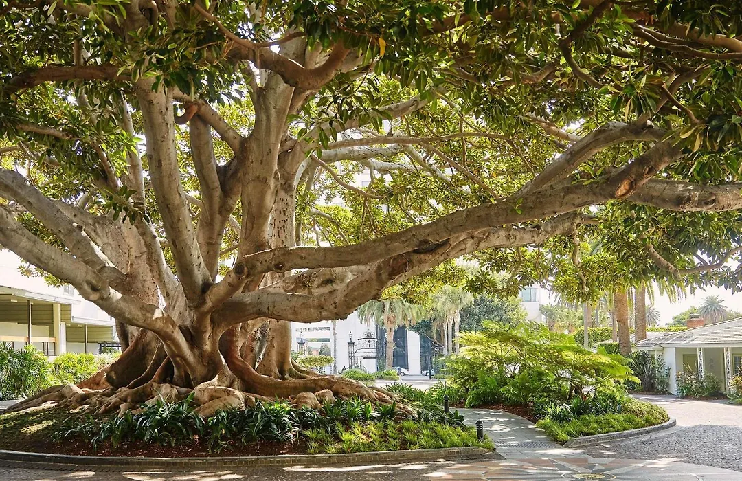 Fairmont Miramar Hotel & Bungalows-1