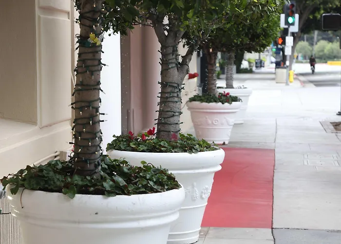 Santa Monica HotelsCarmel